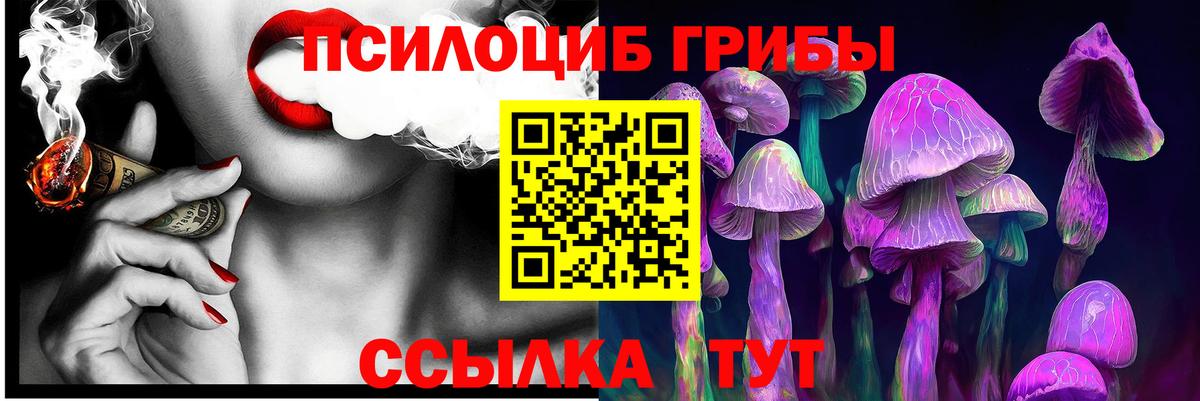Псилоцибиновые грибы прущие грибы  Вход с VPN  где найти наркотики  Сокол 